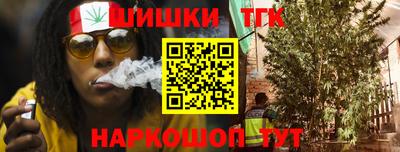 spice Гатчина