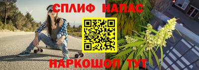 spice Гатчина