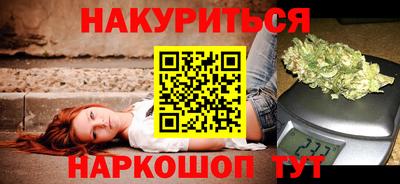 spice Гатчина