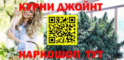 spice Гатчина