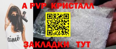 spice Гатчина