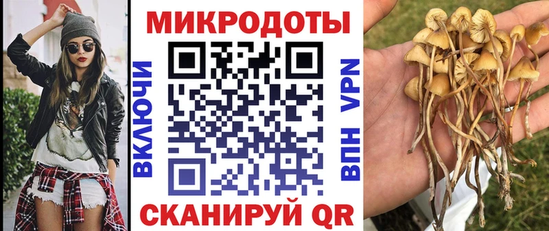 Галлюциногенные грибы мицелий  цены   OMG ссылки  Серов 