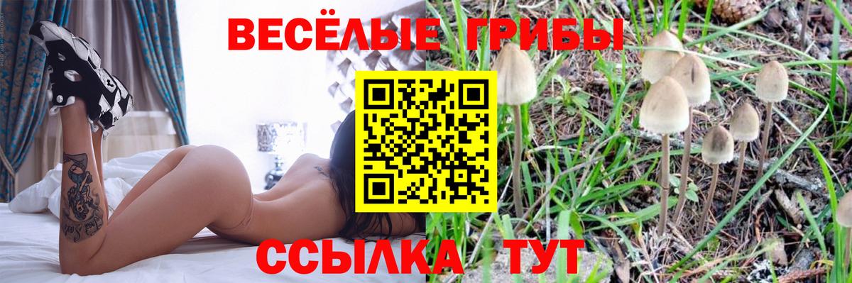 Серов  Галлюциногенные грибы Magic Shrooms  Вход с VPN 