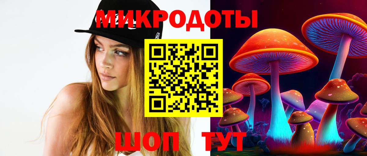 Псилоцибиновые грибы Psilocybe  наркошоп  Серов 