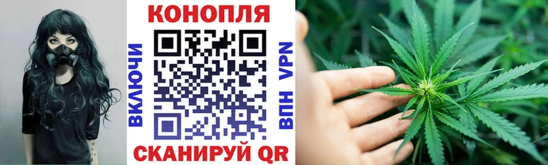 купить наркотик  Серов  Бошки Шишки Ganja 